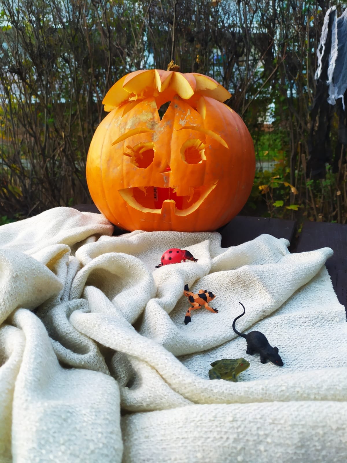 Příprava na večer duchů