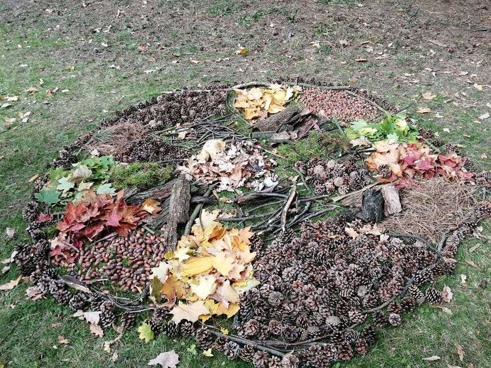 310733848_654876786176005_5917514377597440813_n